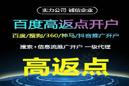 SEM推广在本地化服务中的应用案例